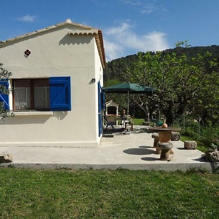 Cottage Provencal Belgentier Zewnętrze zdjęcie